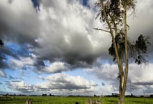 开云体育在线-爱尔兰国王在比赛中的辉煌胜利