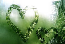 开云体育官网-从安第斯山脉到世界之巅：秘鲁孤勇者的血泪征服之路