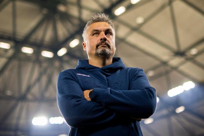 关于沙尔克紧追领头羊，表现出色的信息