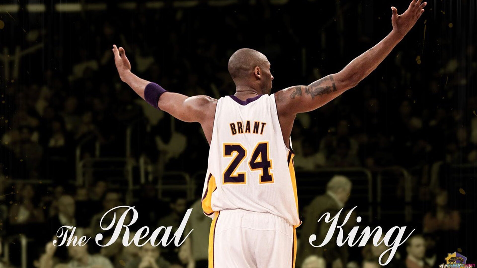 开云官网-雪白血红，弗拉霍维奇用希腊人的方式，写就都灵城的史诗