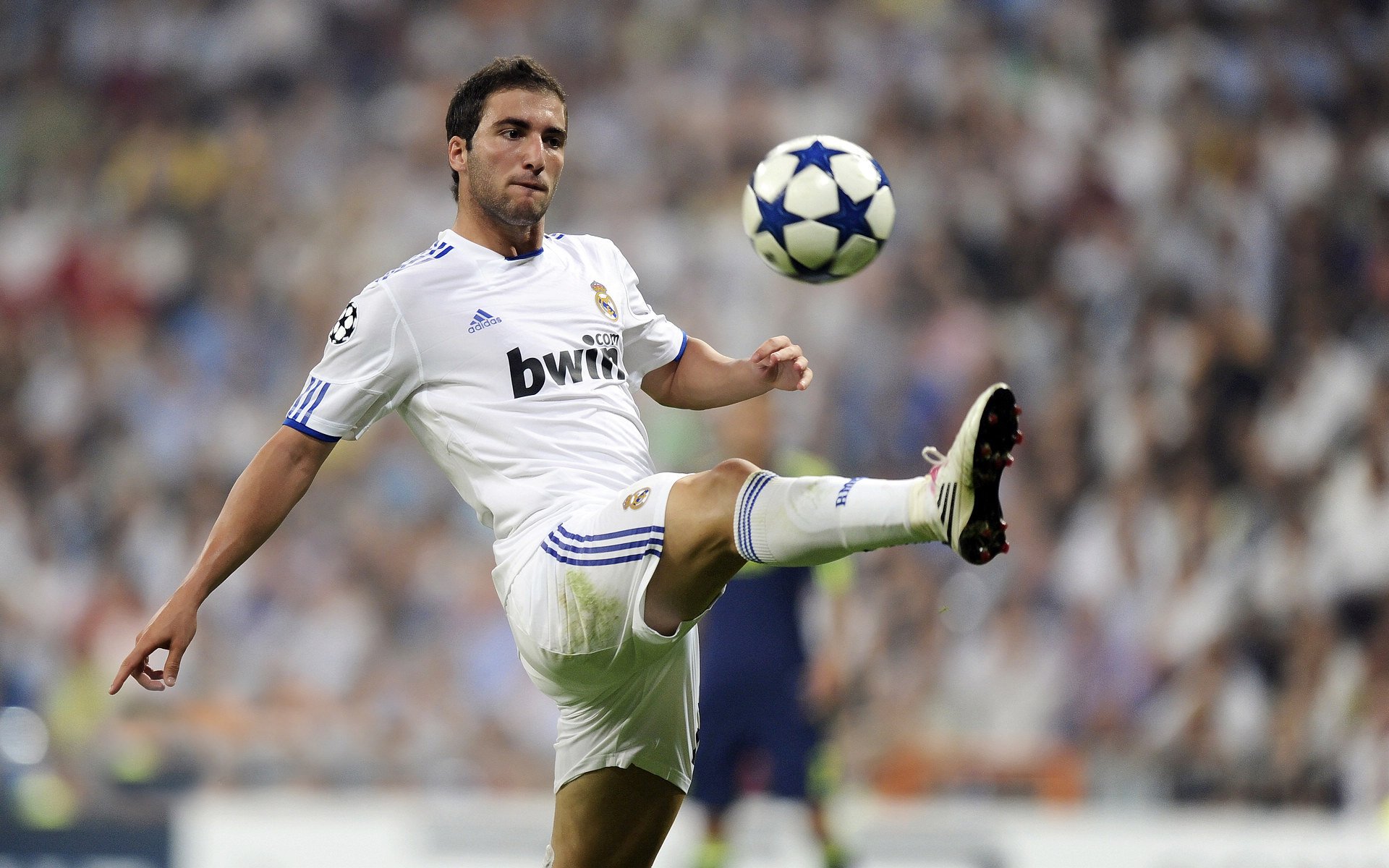 双线狂飙，维斯塔潘统治赛场夺魁，索伯绝杀红牛二队铸就经典逆袭